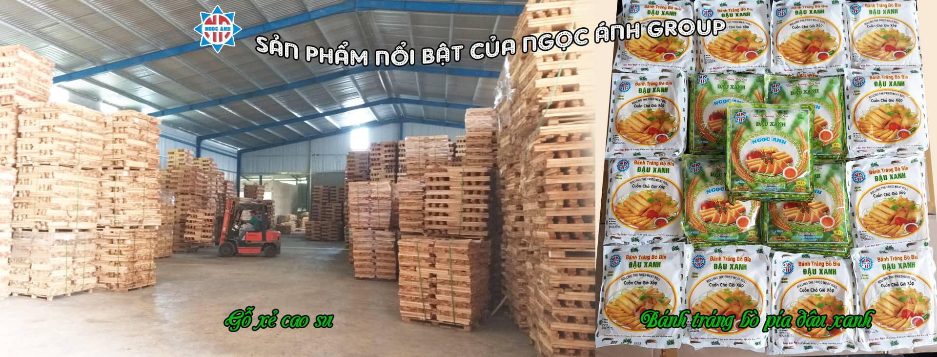 công ty ngọc ánh